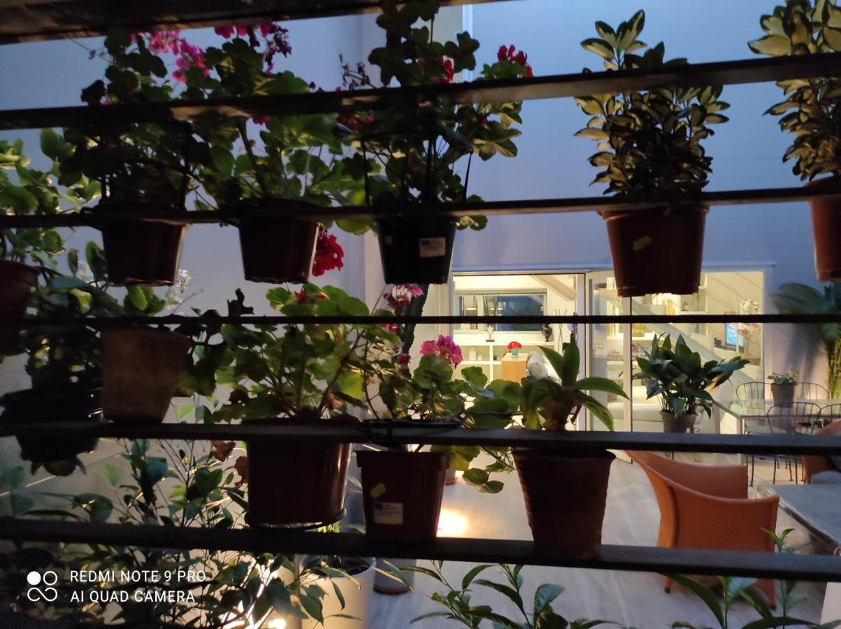 Y Bano En Planta Independiente En Centro De Accommodatie bij particulieren